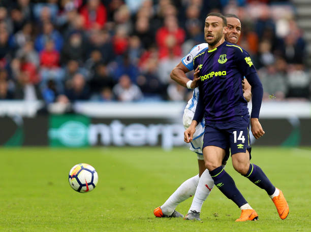 训练质量势 训练质量势