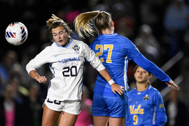 這也說明 這也說明