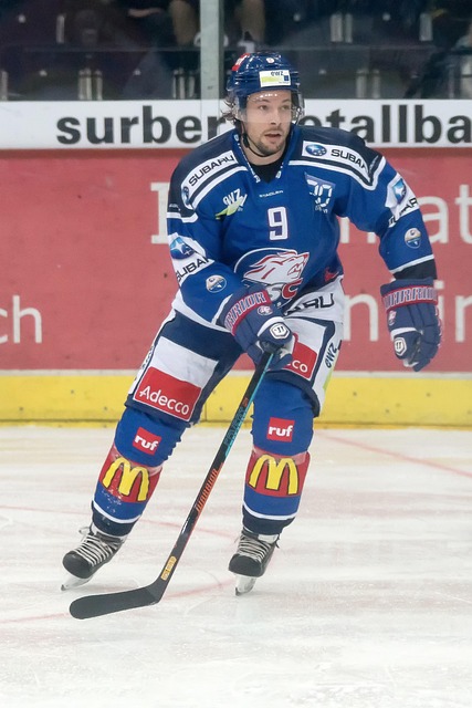 也是德國隊 也是德國隊